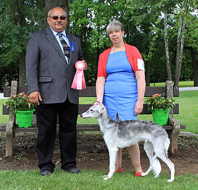 Sweepstakes 6-9 Months Dog